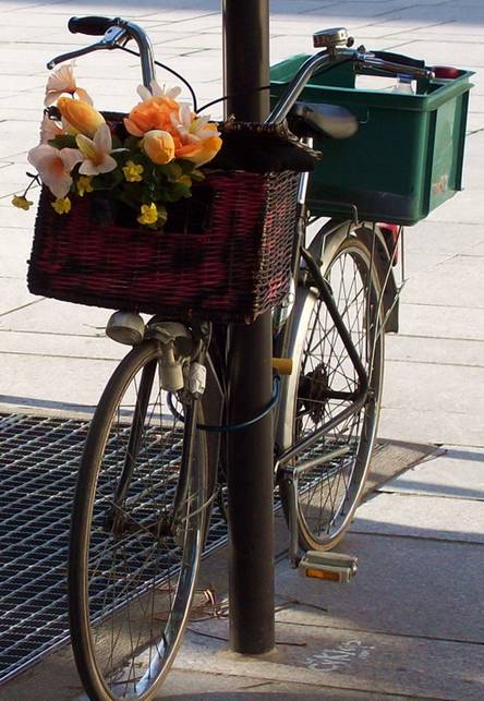 100_1425.jpg