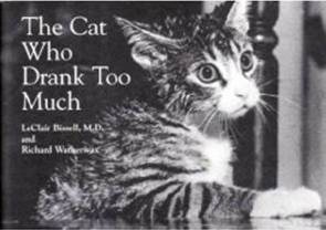 catdranktoomuch.jpg