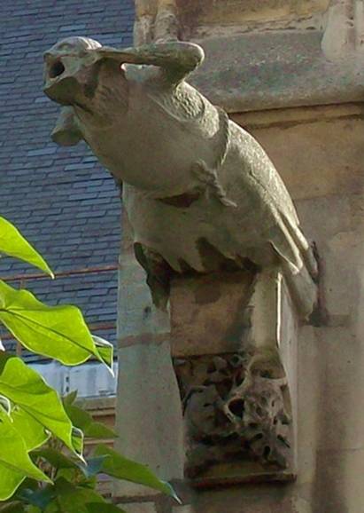 auxerroisgargoyle.jpg