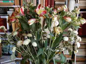 Some flowers I bought for 6 euros at the market today.