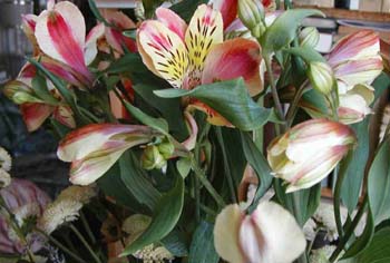 Close-up of flowers in the apartment.