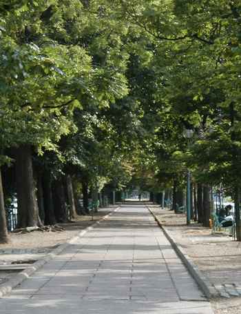 Ile des cygnes, a quiet walk on an island in the Seine.