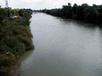 marne.jpg (7894 bytes)
