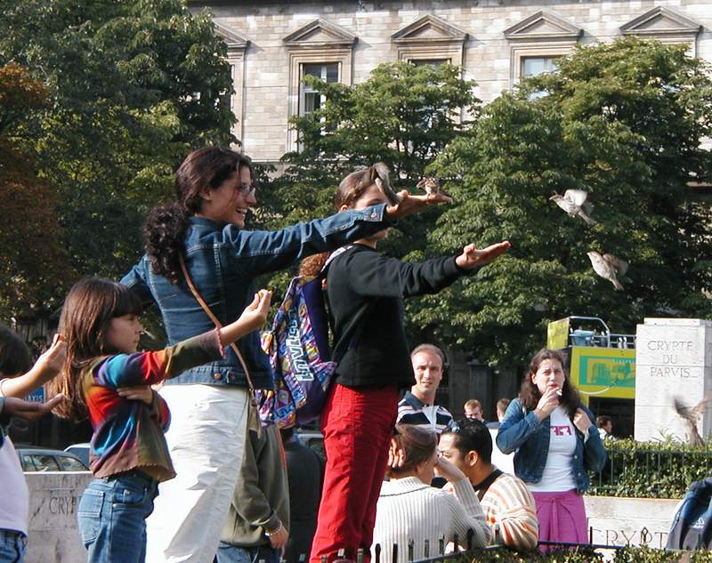The sparrows are so tame at Notre Dame that they will fly up and sit on your hand.  They expect to be fed.