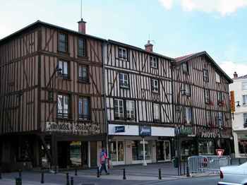 pansdebois.jpg (12929 bytes)