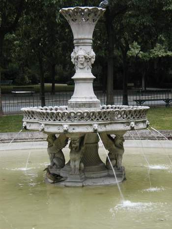 Duck hiding from a light rain in Place Santiago du Chili near Invalides.
