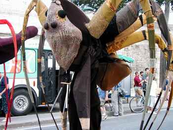 Spider notices me with the camera.